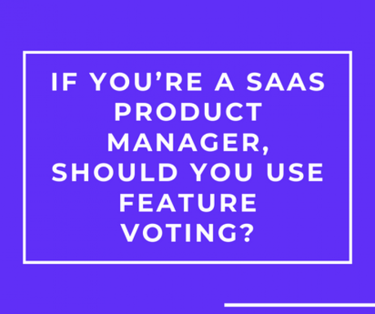 If You’re A SaaS Product Manager, Should You Use Feature Voting?
