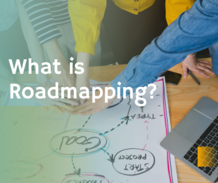 What is Roadmapping?