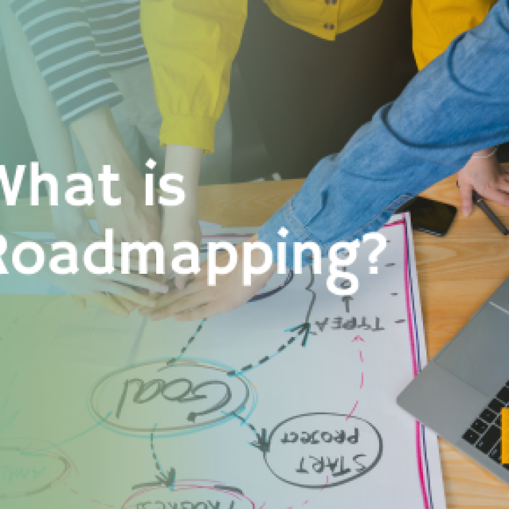What is Roadmapping?